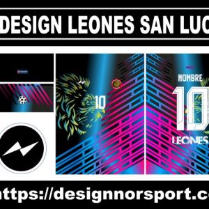 DESIGN LEONES SAN LUCAS