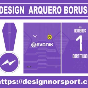 DESIGN  ARQUERO BORUSSIA