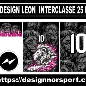 DESIGN LEON  INTERCLASSE 25 NOR