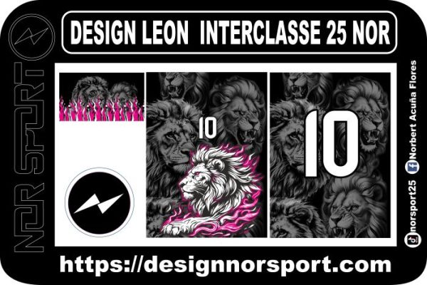 DESIGN LEON  INTERCLASSE 25 NOR