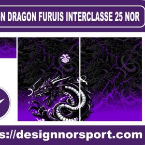 DESIGN DRAGON FURUIS INTERCLASSE 25 NOR