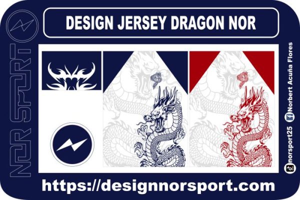 DESIGN JERSEY DEGRADE NOR