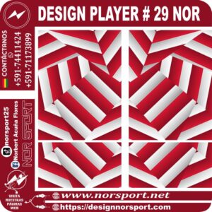 DESIGN PLAYER # 29 NOR