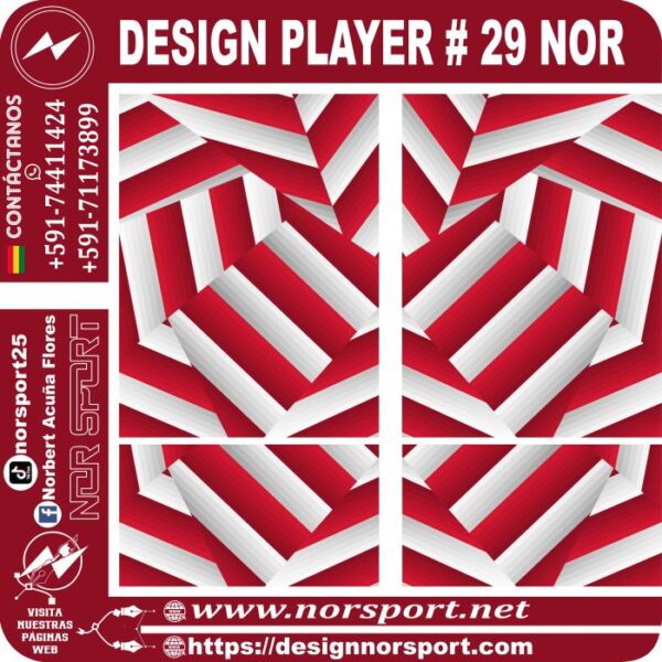 DESIGN PLAYER # 29 NOR