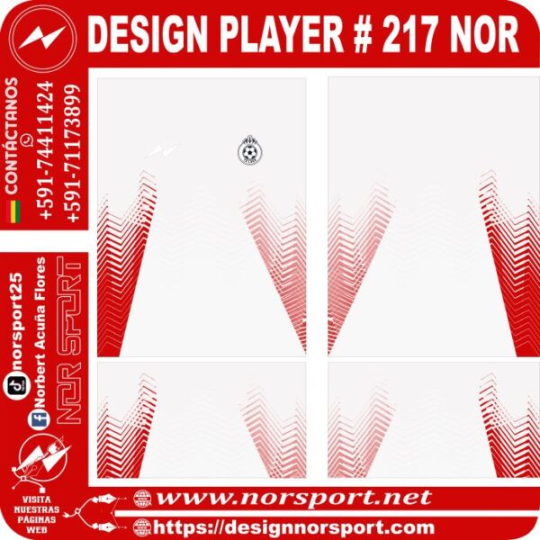 DESIGN PLAYER # 217 NOR
