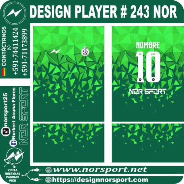 DESIGN PLAYER # 243 NOR