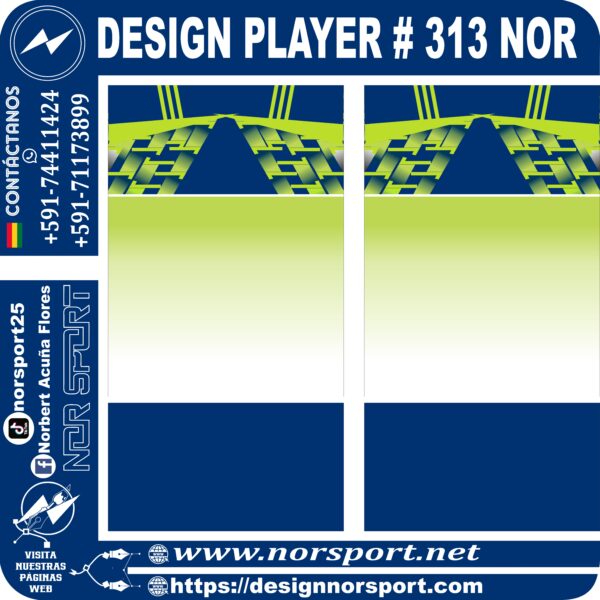 DESIGN PLAYER # 313 NOR