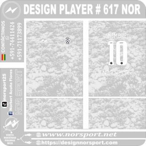 DESIGN PLAYER # 617 NOR