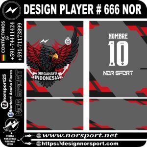 DESIGN PLAYER # 668 NOR