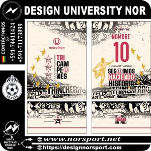 DESIGN UNIVERSITY NOR